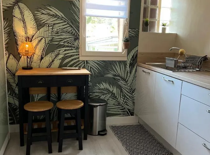 Proche Village Naturiste, Terrasse Et Parking * Agde